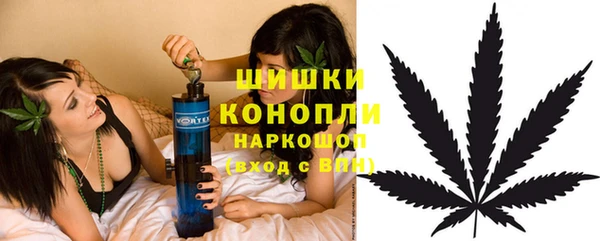 spice Волосово