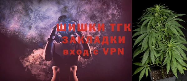 круглые Вяземский