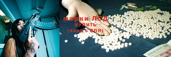 гидра Володарск