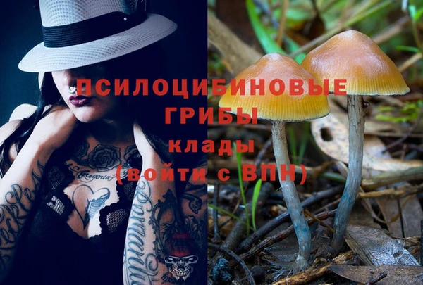 spice Пролетарск